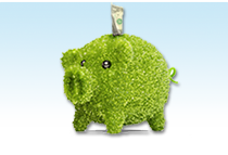 picture of green piggy bank with dollar bill