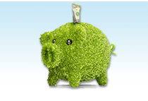 picture of green piggy bank with dollar bill