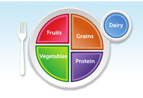 Plate divided into food groups. Fruits, Grains, Protein, Vegetables, and Dairy.