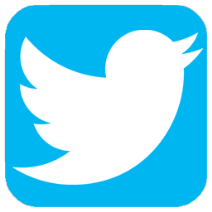 twitter bird icon logo in light blue